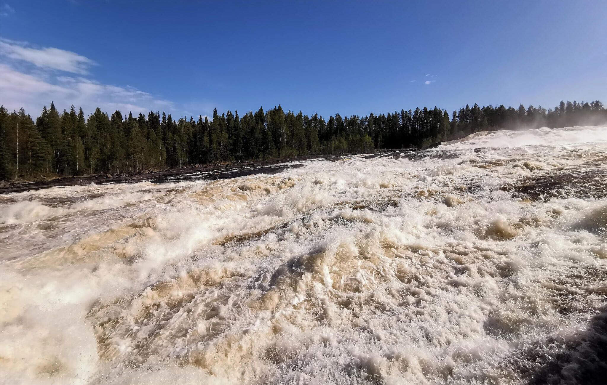 Un río con rápidos fuertes rodeado de bosque.
