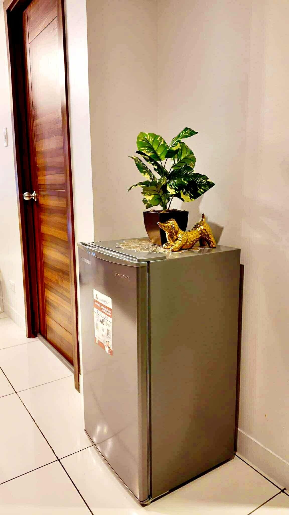 A compact refrigerator with a sticker, a potted plant, and a decorative item on top, positioned against a wall in a hallway with a wooden door.