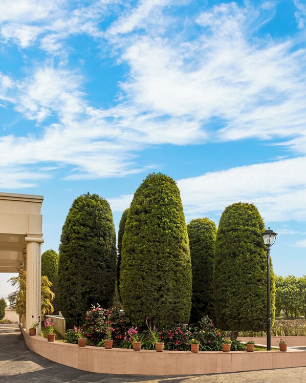 Jardin