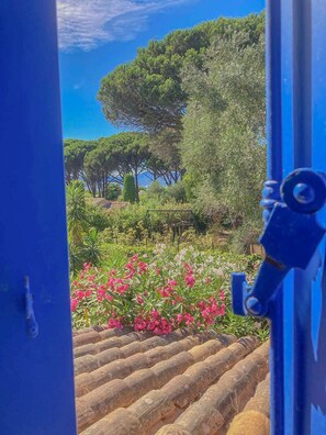 Property grounds - SAINT-TROPEZ – CANOUBIERS BAY – 4-BEDROOM VILLA – SWIMMING POOL (ST TROPEZ)