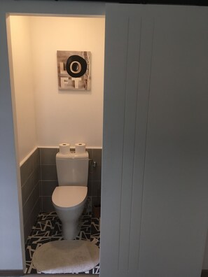 Chuveiro, secador de cabelo, toalhas de banho, papel higiênico