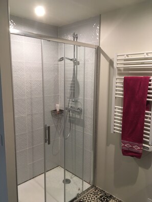 Chuveiro, secador de cabelo, toalhas de banho, papel higiênico