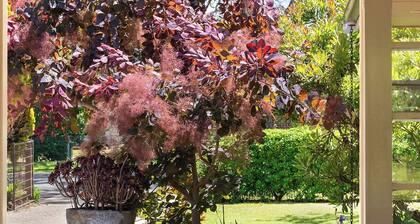 400m Walk to Beach and Rosebud Plaza.
Family/Pet friendly with fully fenced yard