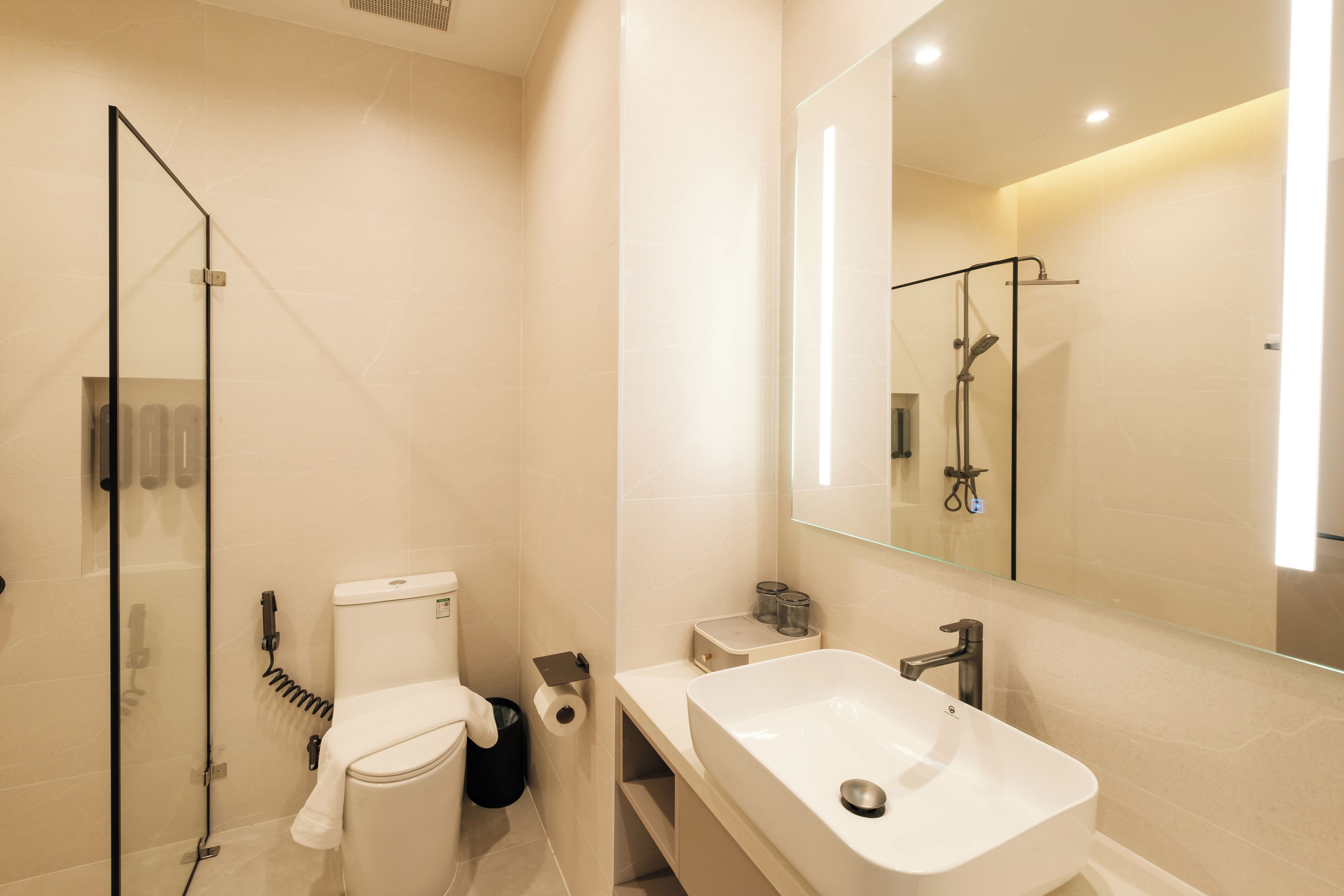 A modern bathroom with a glass shower enclosure, a white toilet, a large sink, and a mirror.