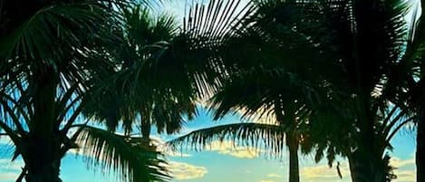 Chaises longues, serviettes de plage