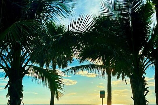 Sun-loungers, beach towels