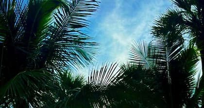 Luxe Condo; Sand, Sea, & Sunset, Unit A @ IRB; Steps 2 Beach; SMART TVs; PRIVATE