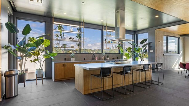 Une cuisine moderne dotée d’un îlot central, de grandes fenêtres et de plantes en pot.