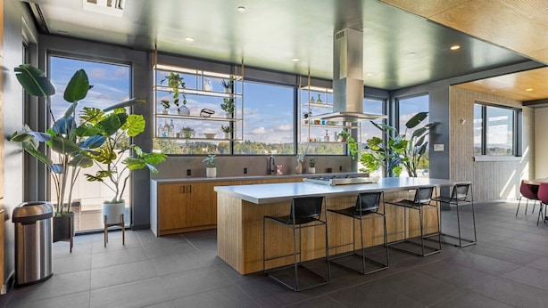 Une cuisine moderne dotée d’un îlot central, de grandes fenêtres et de plantes en pot.
