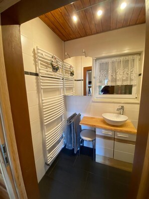 Shower, hair dryer, towels