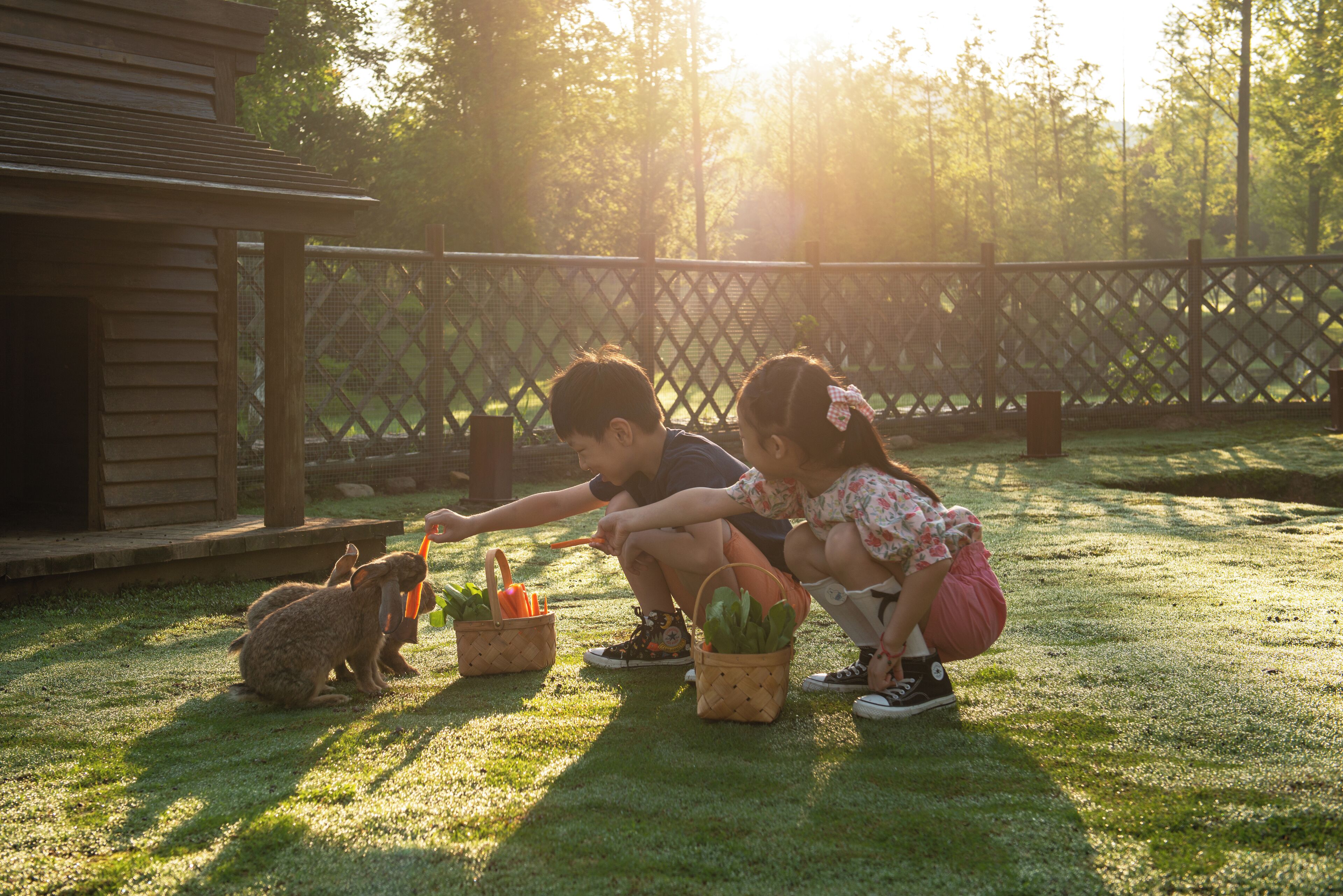 Overnattingsstedets uteområder