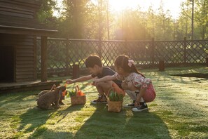 Área da propriedade