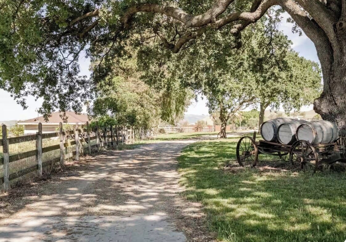 A rural pathway with a wooden fence, a large tree providing shade, and old barrels on the right.