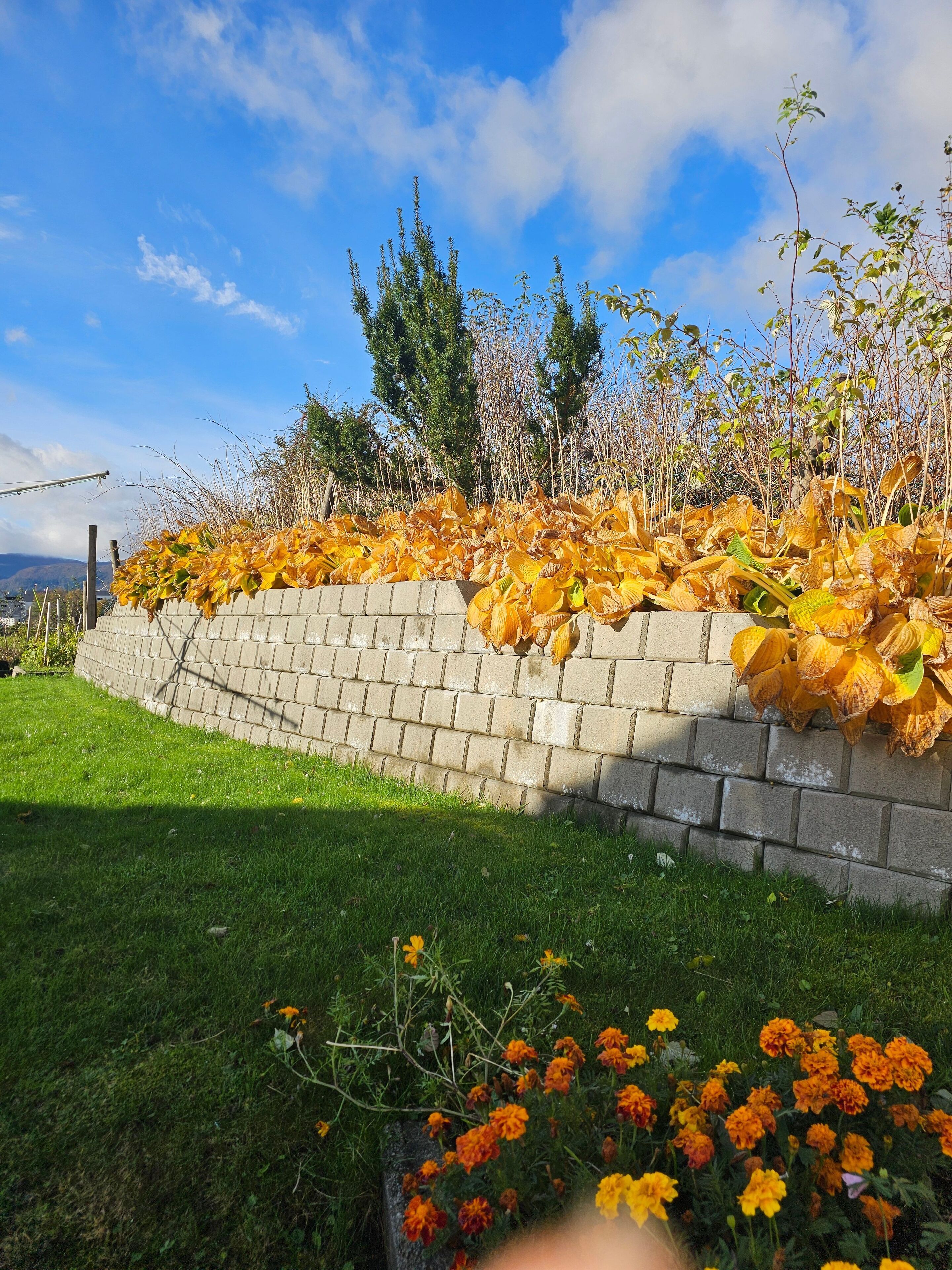 Shared Dormitory, 2 Bedrooms, Smoking, Terrace | Exterior detail