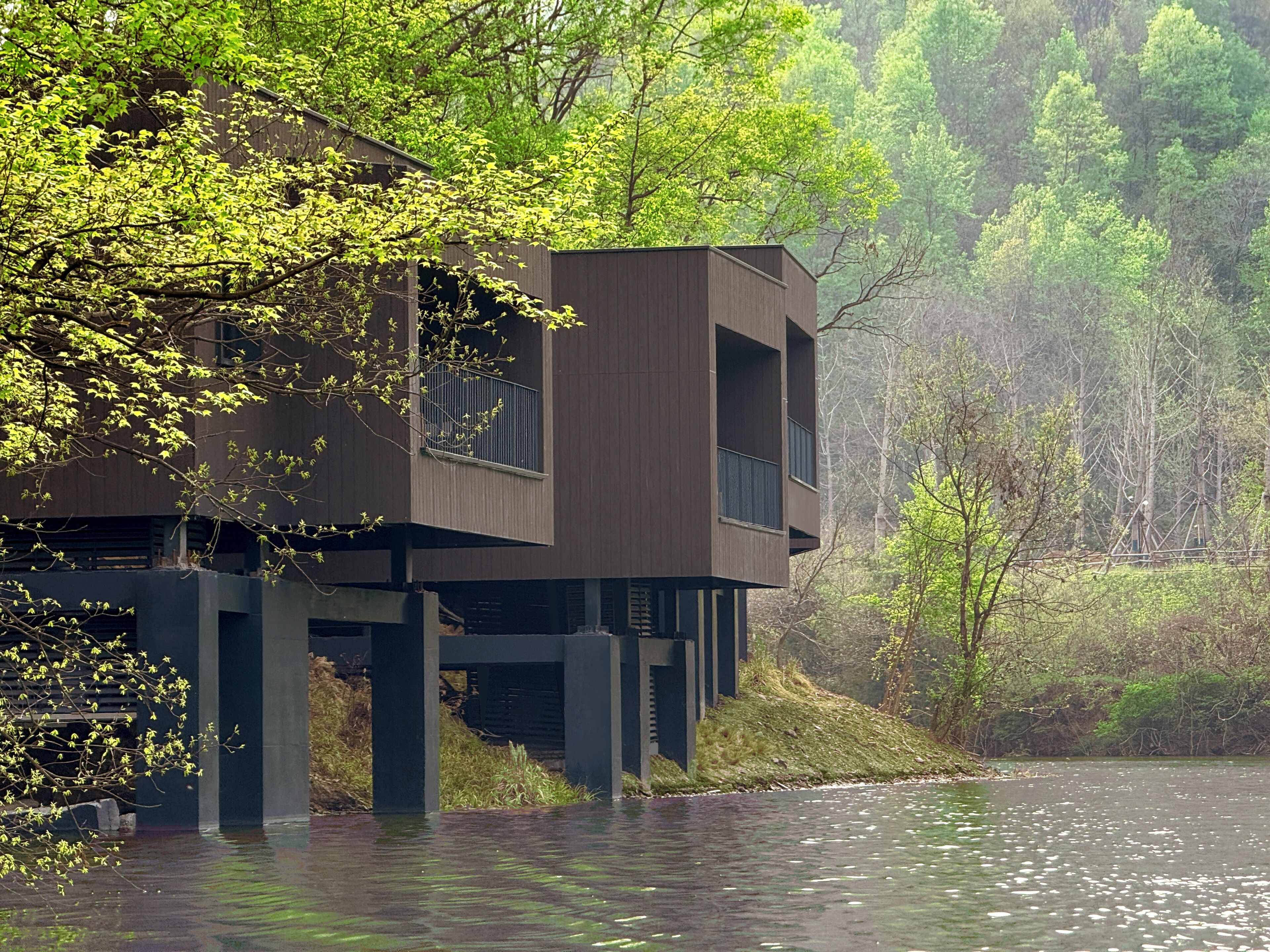 独特树屋, 湖景 | 外观