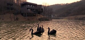 Exterior - naked Home GRAND Ginkgo Valley (Xiaogan)