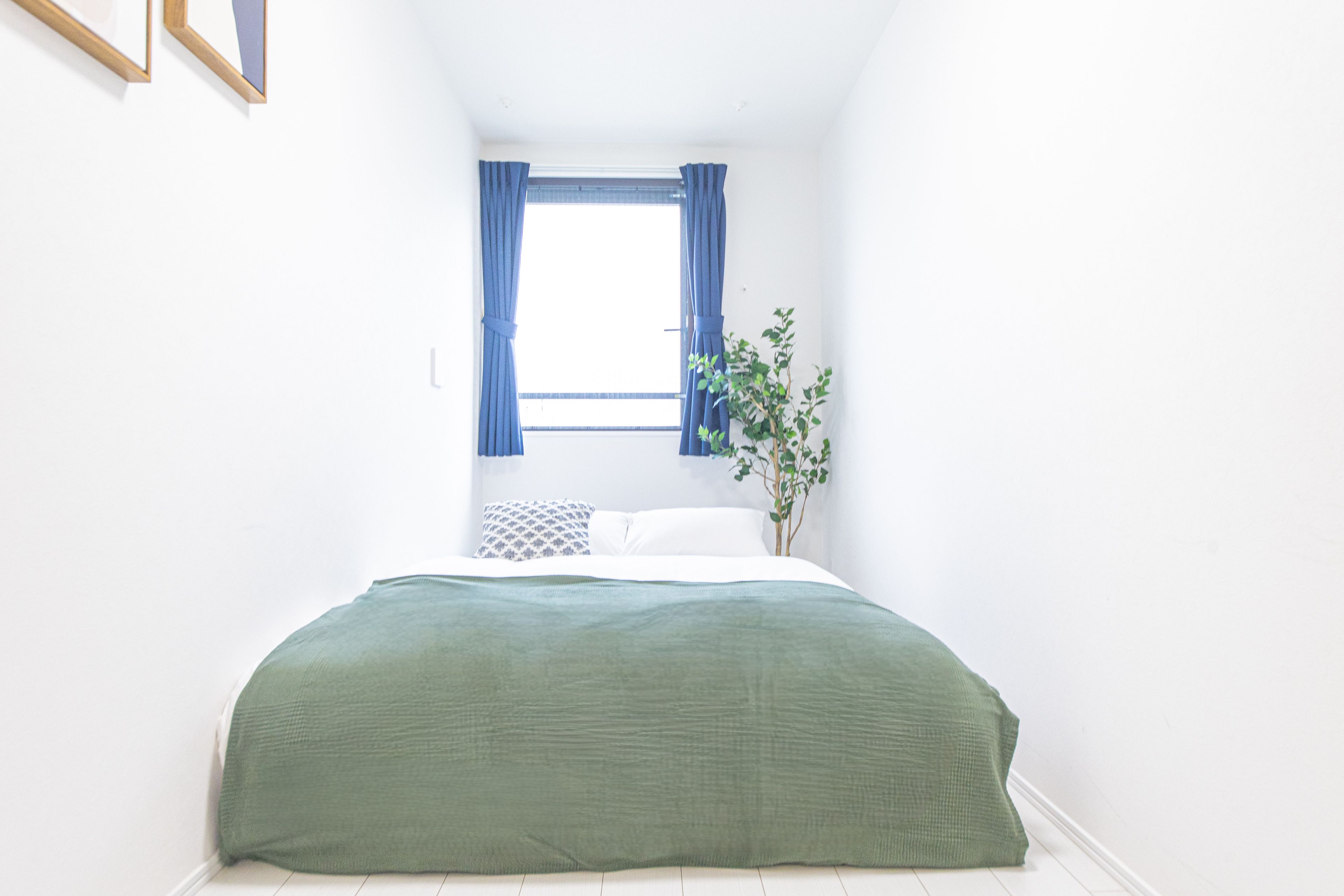 A bedroom with a bed, a window with curtains, a plant, and a wall-mounted shelf.