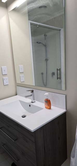Hair dryer, towels, soap, shampoo