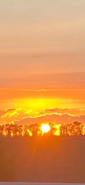 Miscellaneous - Hostal Restaurante Puerto Blanco  (El Garrobo)