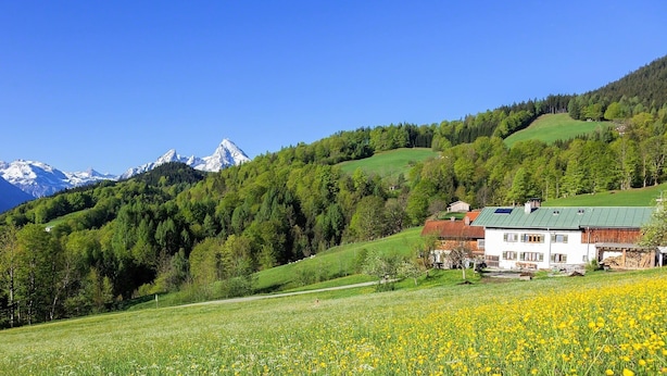 Una casa rurale con tetto verde, circondata da un campo di fiori gialli e un pendio boscoso.