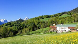 Ein ländliches Haus mit grüner Dachdeckung, umgeben von einem Feld gelber Blumen und einem bewaldeten Hügel.