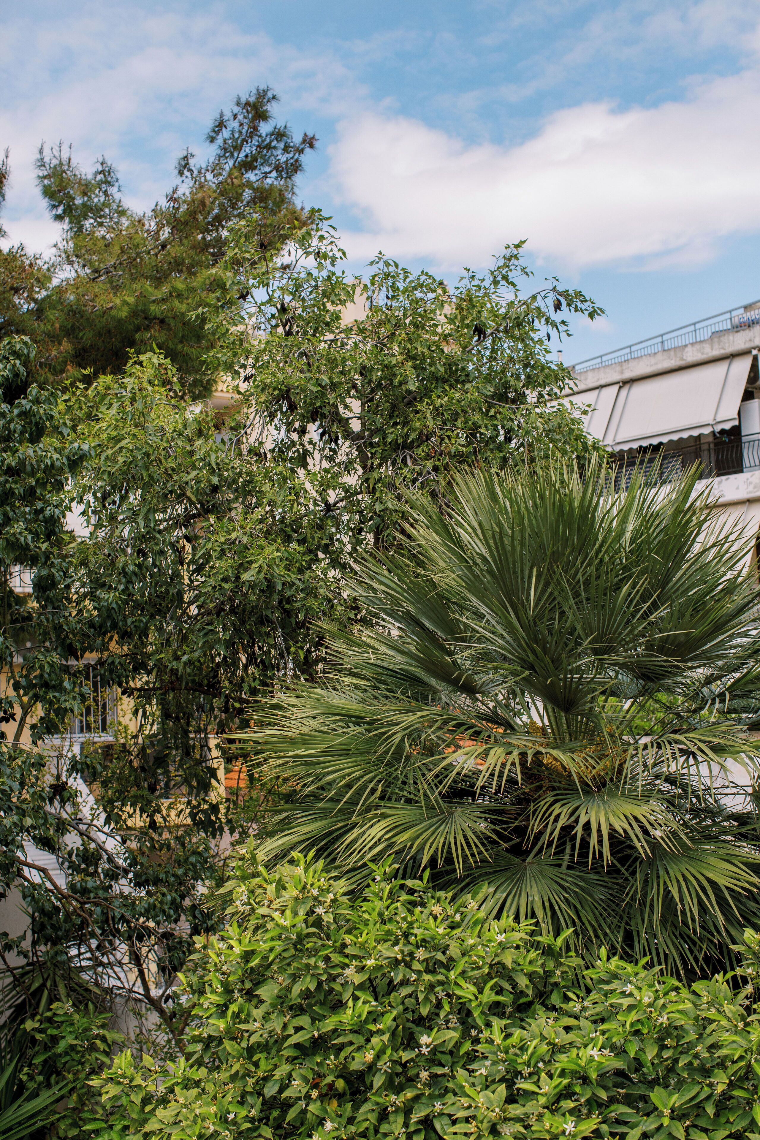 Parco della struttura