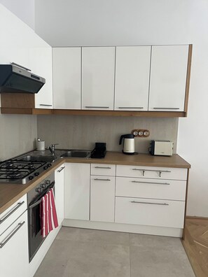 Private kitchen - At Opera House 1-bedroom large apartment in Budapest with AC (Budapest)