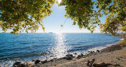 Sunday Rugen 1-bedroom apartment