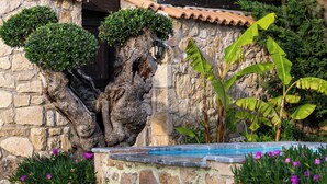 A stone wall with a unique rock formation, a swimming pool, and surrounding greenery. - If you want to combine calmness and art , Arthouse is for you (ζακυνθος)