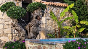 Property grounds - If you want to combine calmness and art , Arthouse is for you (ζακυνθος)