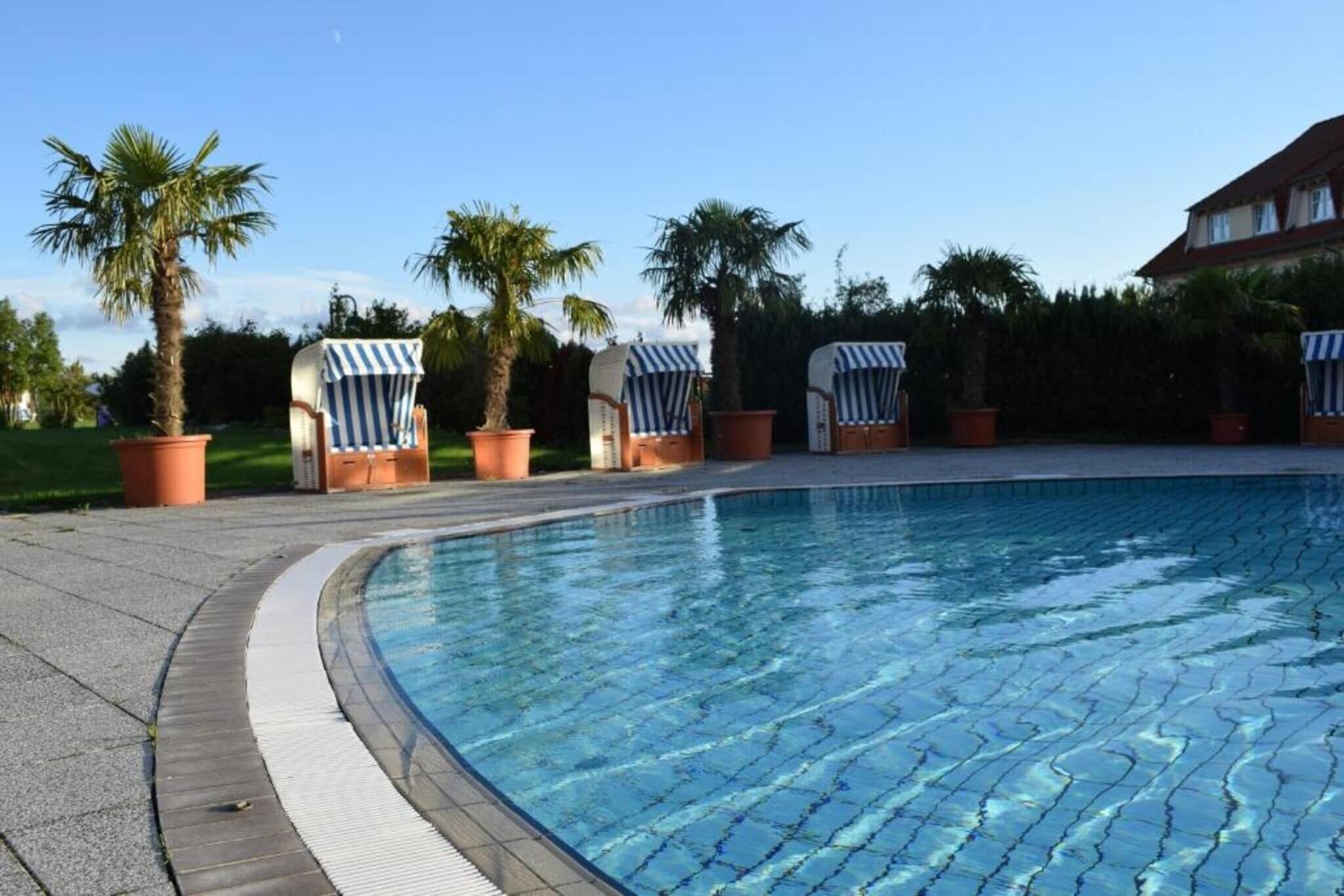 Ein Pool mit Liegestühlen und Palmen.