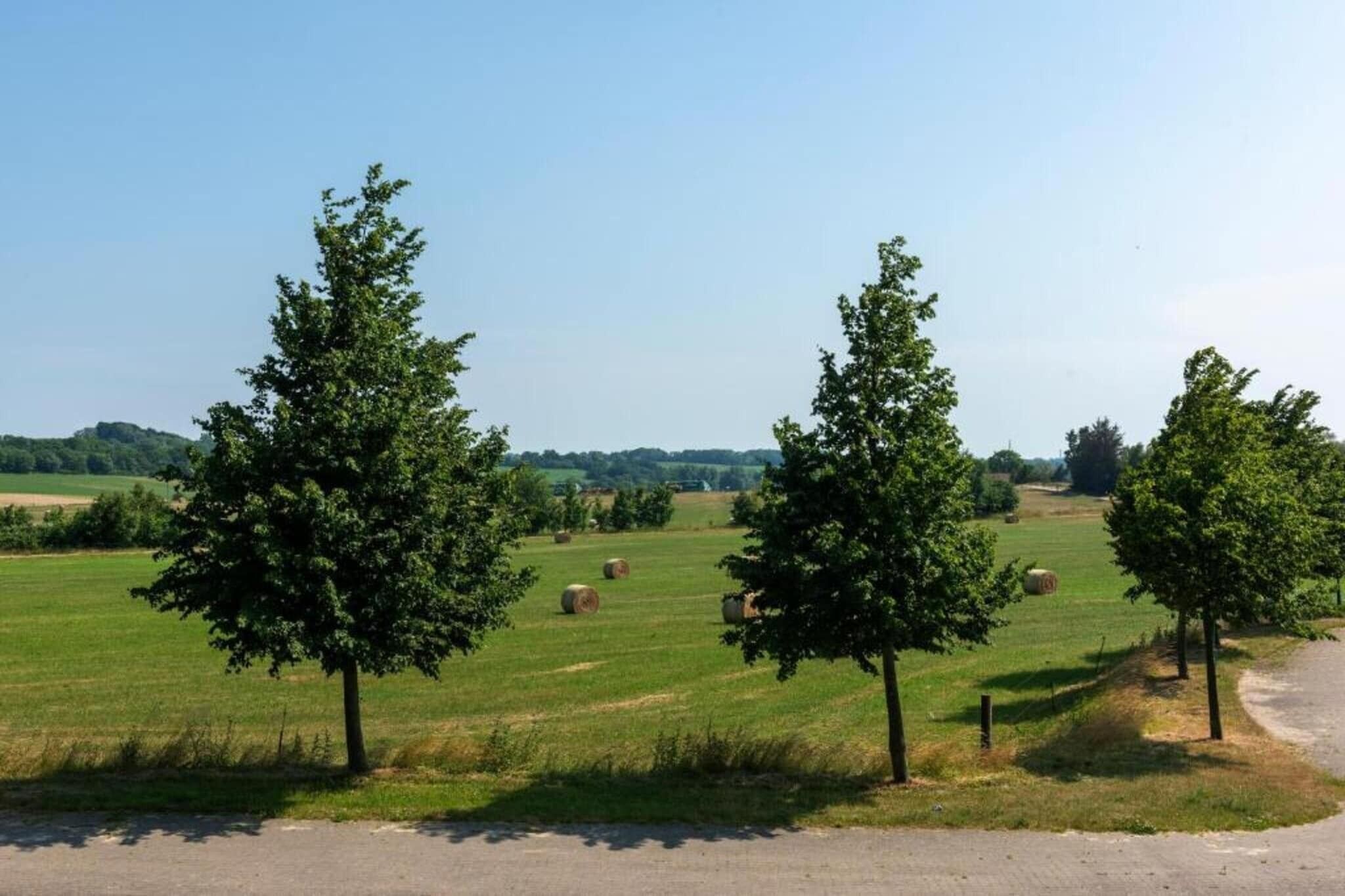A rural landscape with a paved road, three trees, and hay bales in a field.