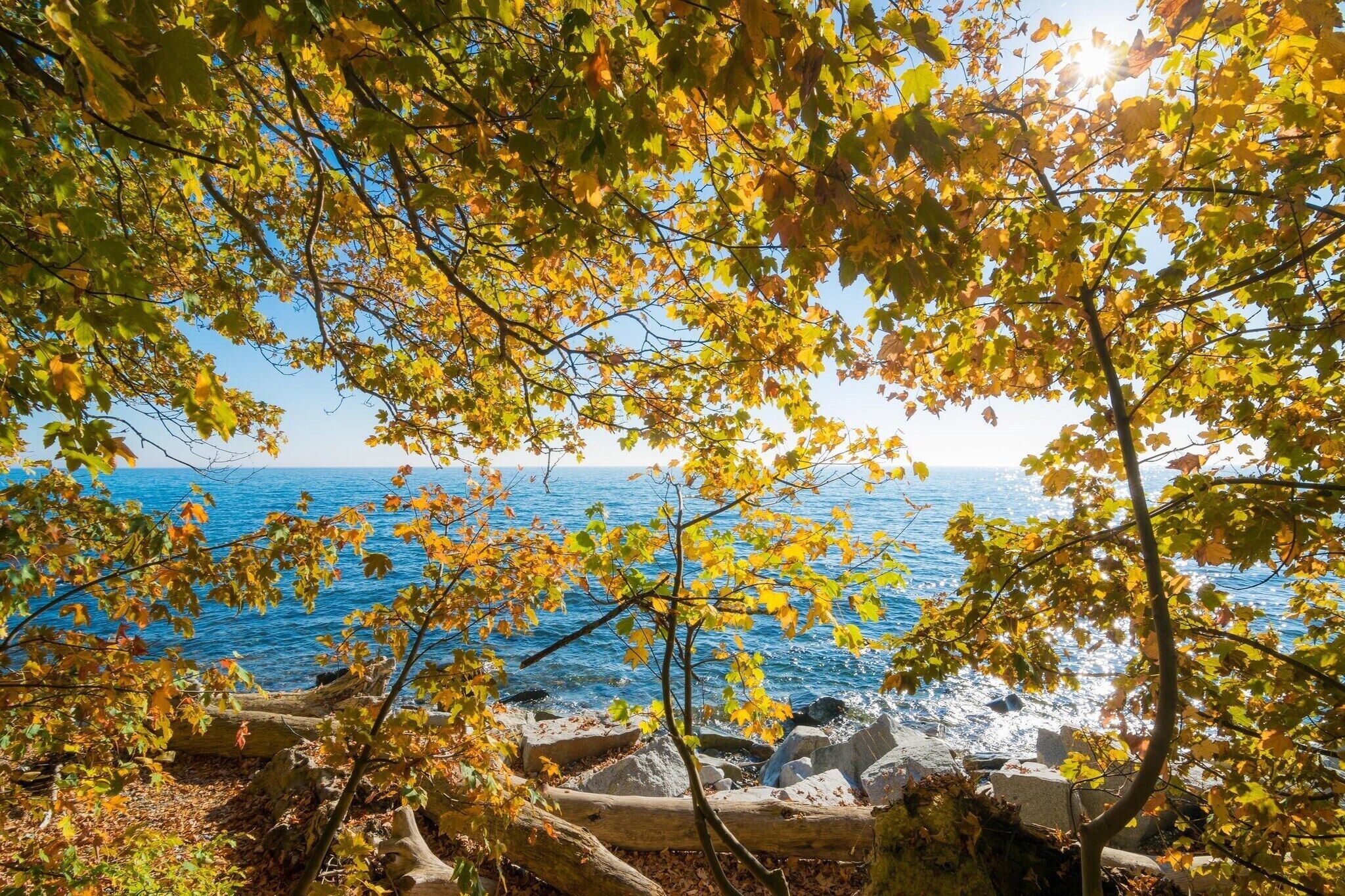 Ett kustlandskap med höstfärgat lövverk, stenigt område och utsikt över havet.