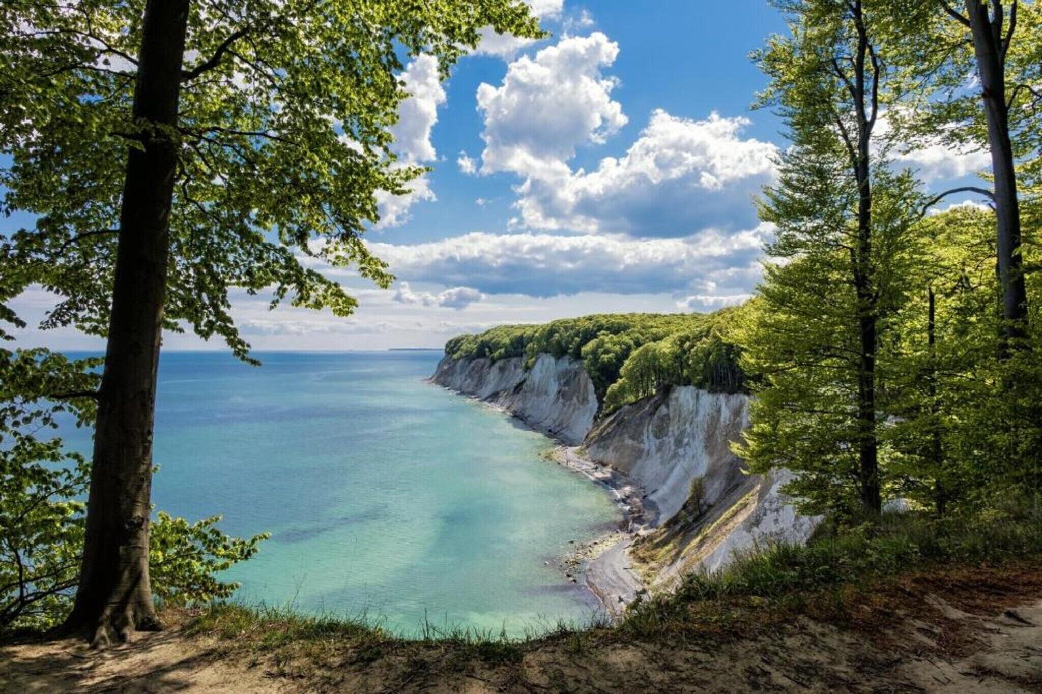 Eine Küstenlandschaft mit Klippen, Bäumen und freiem Blick auf das Meer.