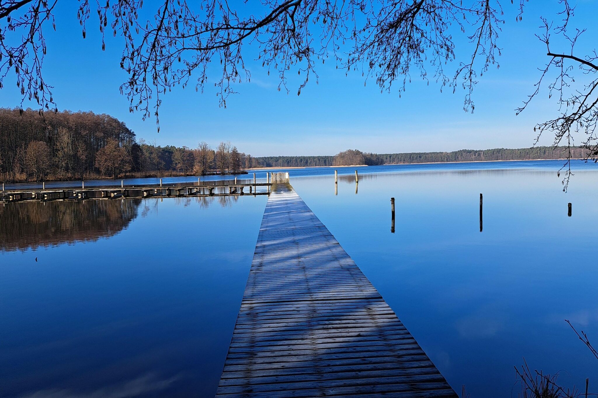 Une jetée en bois s’étendant sur une étendue d’eau calme, entourée d’arbres et sous un ciel dégagé.
