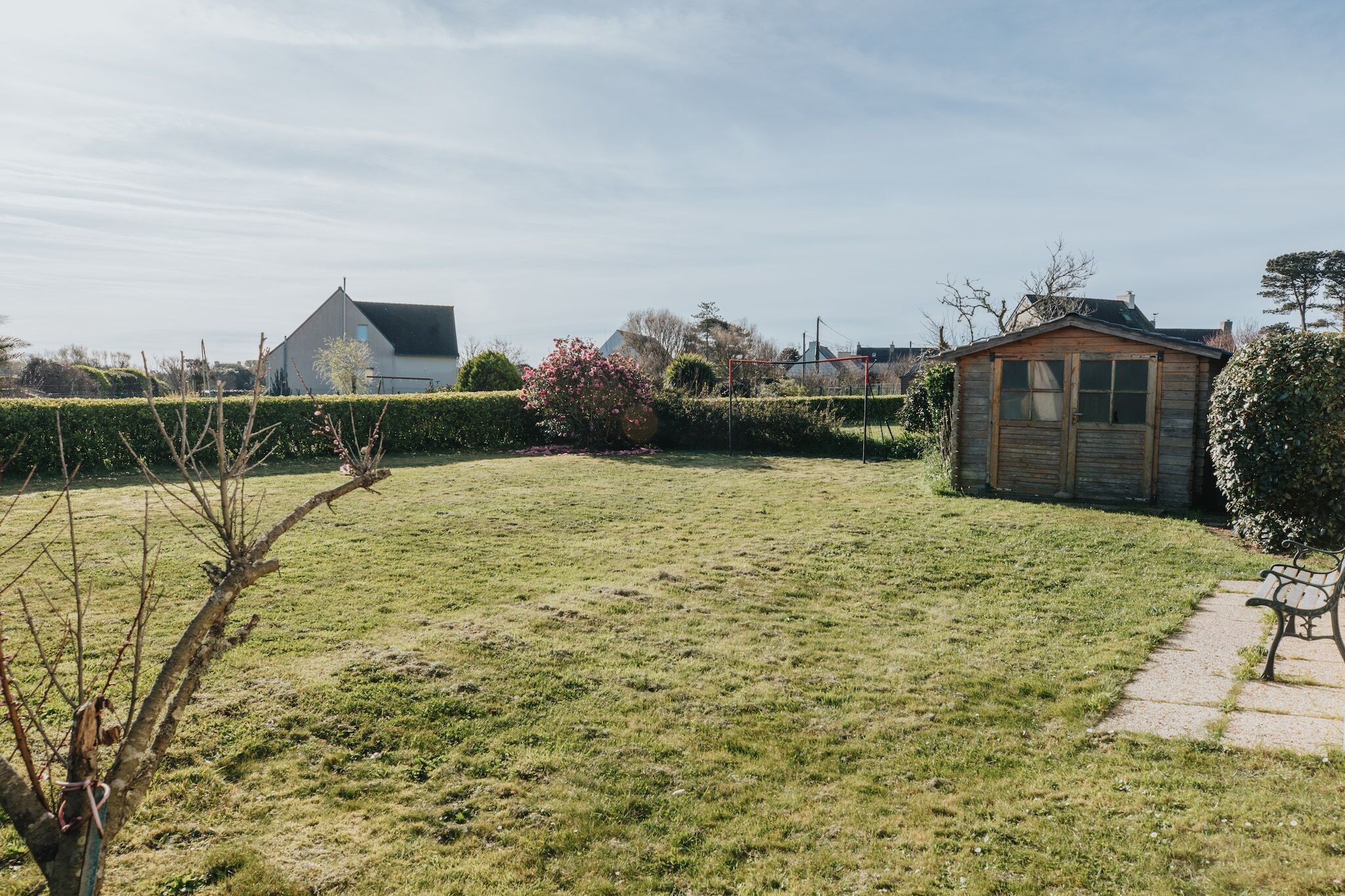 A grassy yard with a small wooden shed, a bench, and a house in the background.