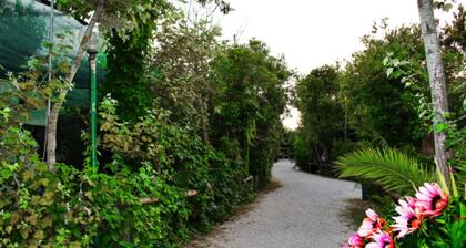 Camping Rio Martino
