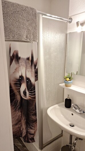 Ducha, secador de pelo y toallas