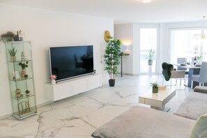 Télévision
