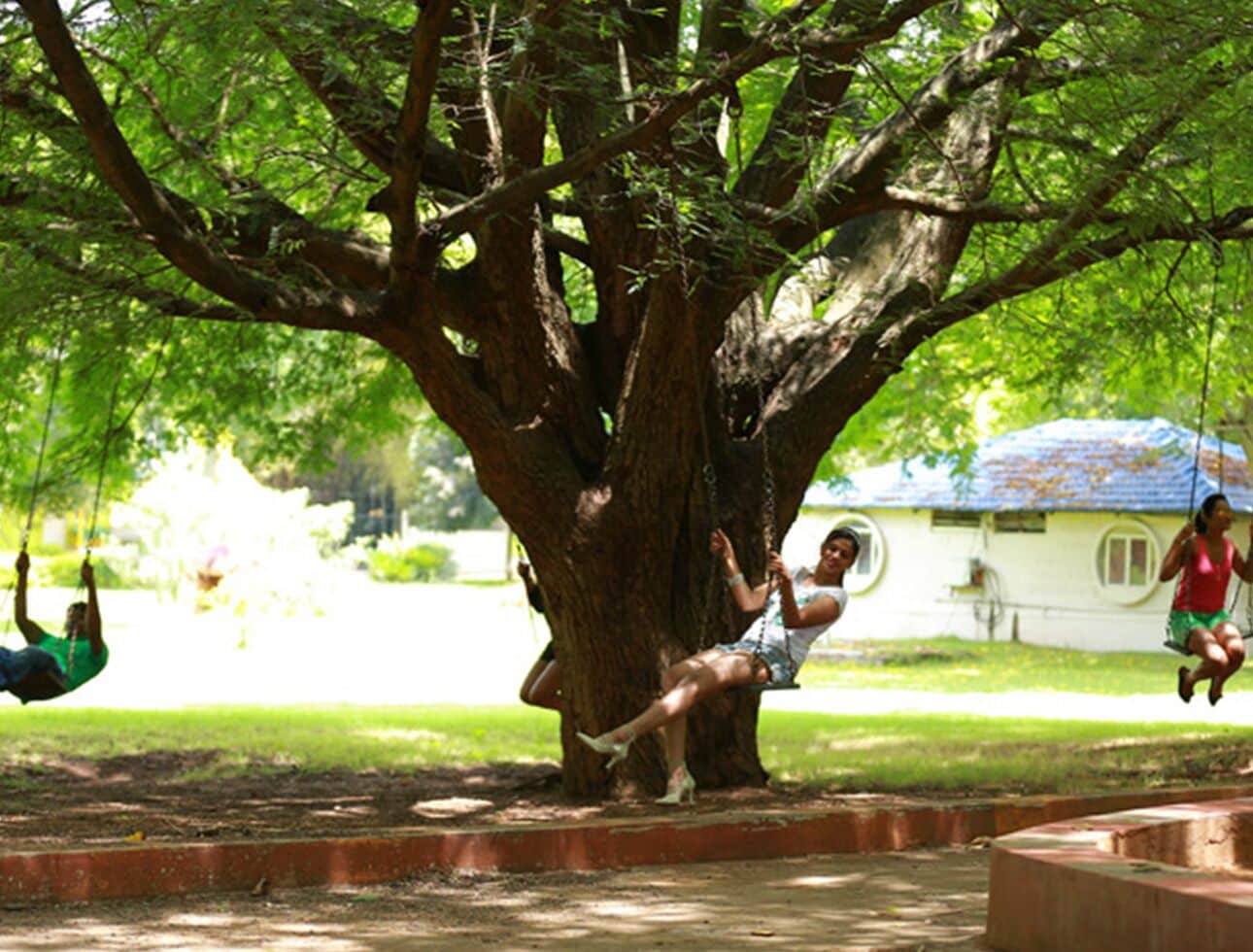 Áreas de la propiedad
