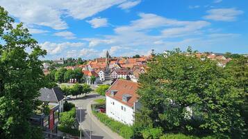 A town with a prominent church, paved streets, and lush greenery.