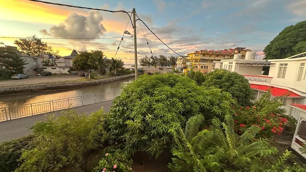 Vista a la ribera con un puente, follaje y edificios al fondo.