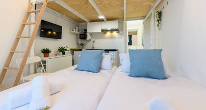 M (RBL180) Cozy duplex in Salamanca