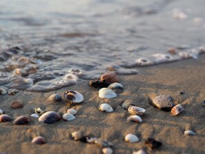 A sandy beach with scattered seashells and gentle waves. - Nice Villa With a Fenced Garden (San Michele al Tagliamento)