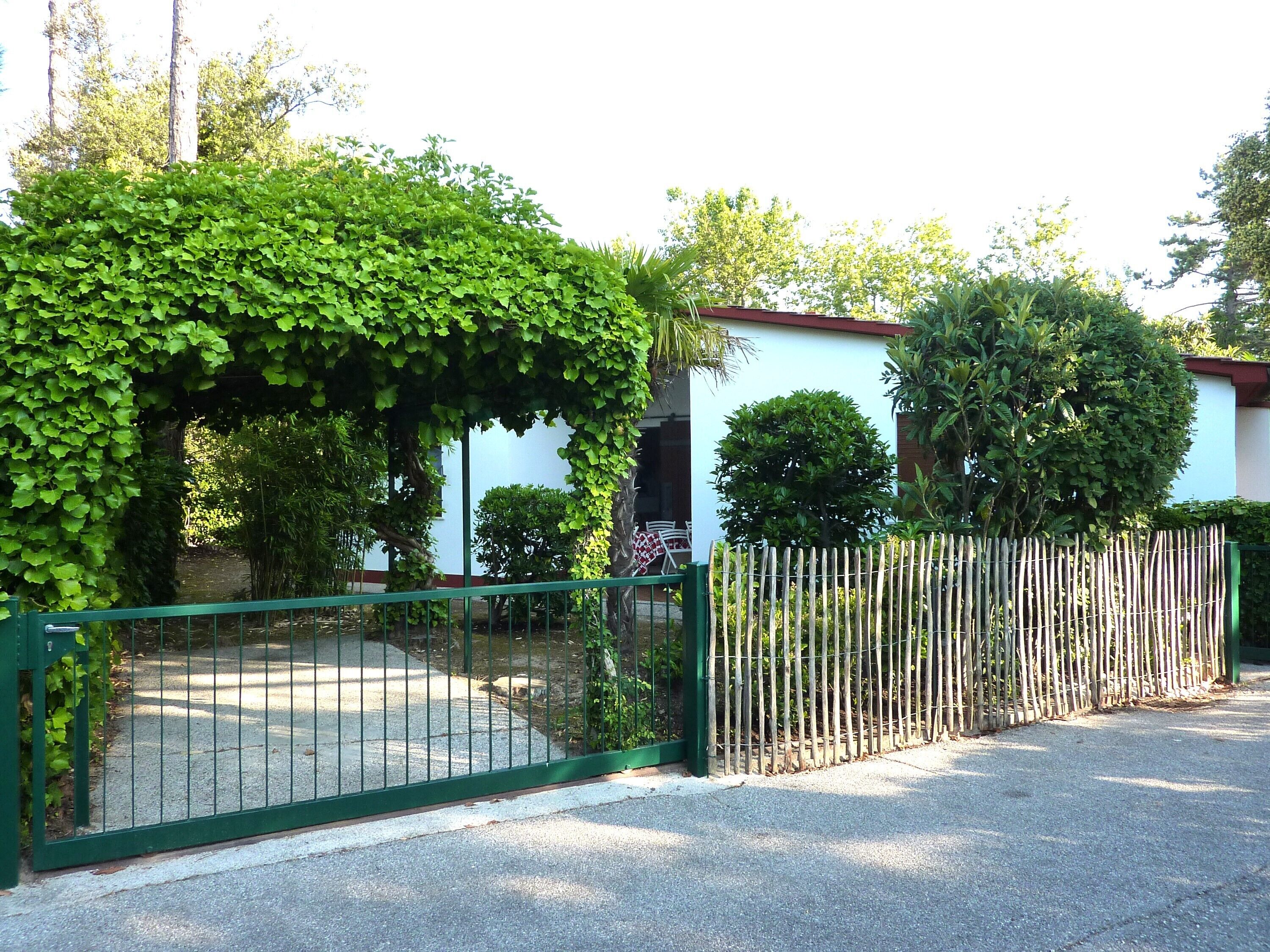 Vườn