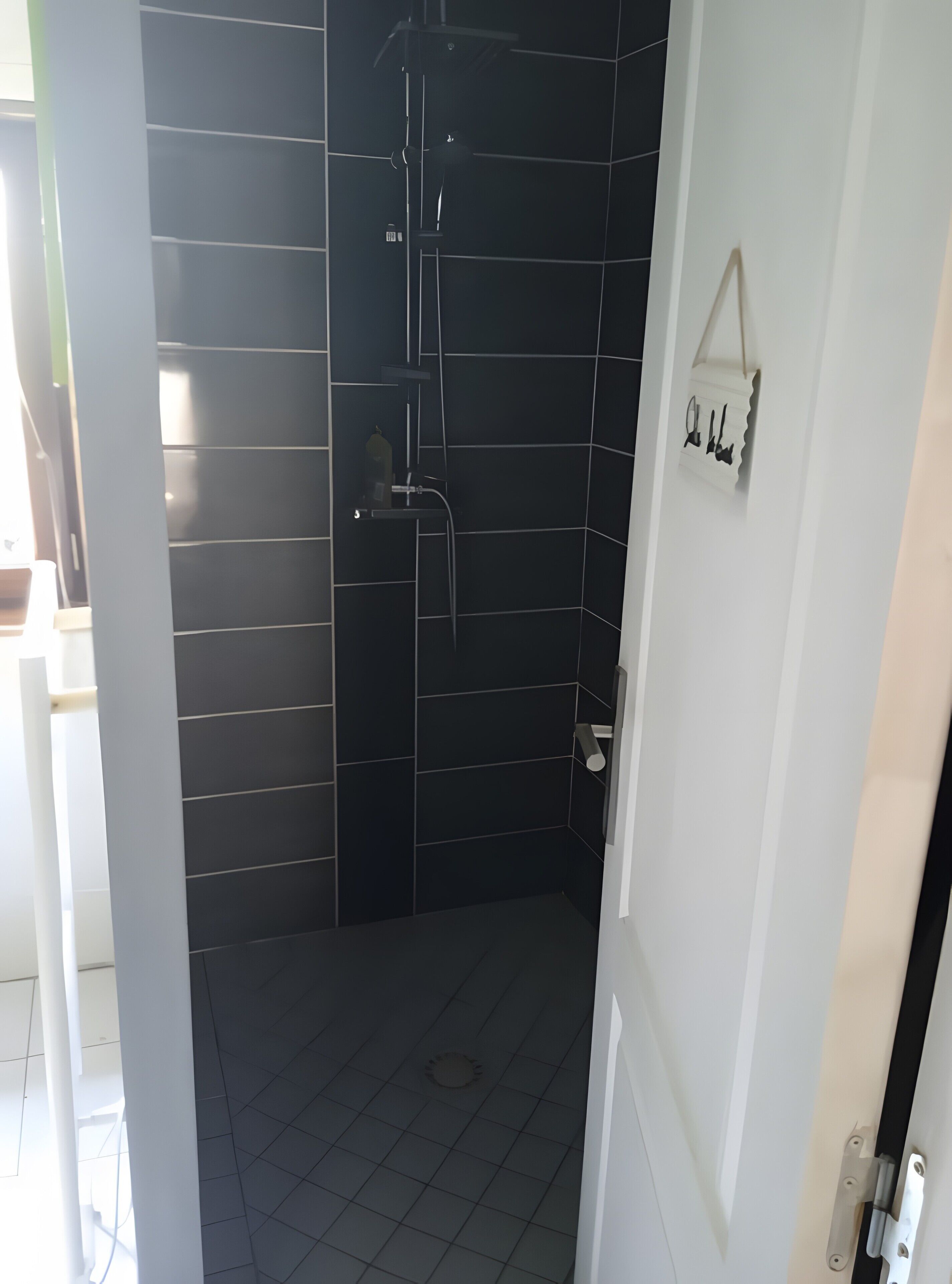 Shower, hair dryer