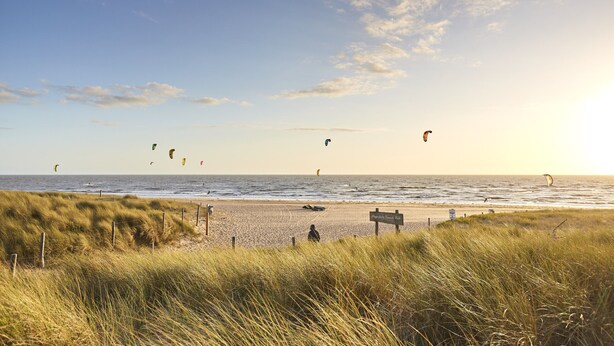 Een strand met grasduinen, een bord en vlieger in de verte.