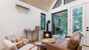 Smart TV, chimenea, reproductor de DVD y libros