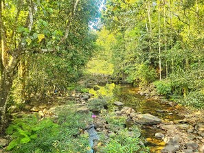 Miscellaneous - Mamoksha Riverdale (Vythiri)