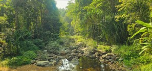 Miscellaneous - Mamoksha Riverdale (Vythiri)